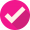 Check Mark Icon